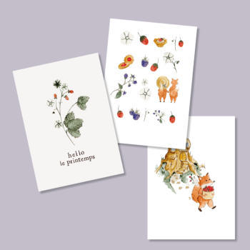 Lot de trois cartes – Fruits des bois