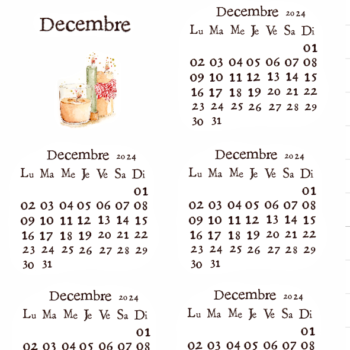 Mini mois – Decembre 2024